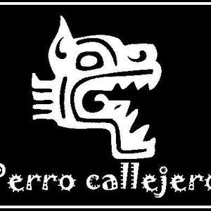 “Perro Callejero”的封面