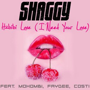 Image for 'Habibi Love (I Need Your Love) (feat. Mohombi, Faydee & Costi)'