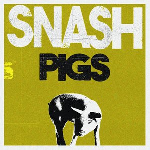 Bild für 'Pigs'