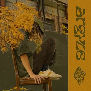 “argyle”的封面