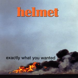 Image for 'Exactly What You Wanted'