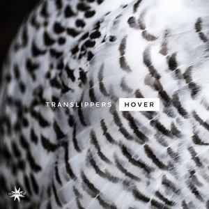 Image for 'Hover'