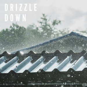 Image for 'Drizzle Down'