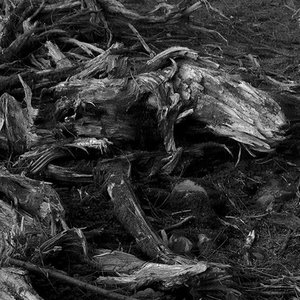 Image for 'Paskal's Dream'