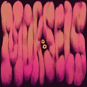 Image for 'MORSELS (Original Soundtrack)'