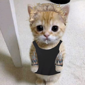 twixszxc