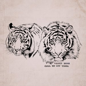 “Call Me Out Tiger”的封面