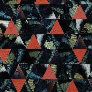 Image for 'Diatom Ribbons (Live At The Village Vanguard)'
