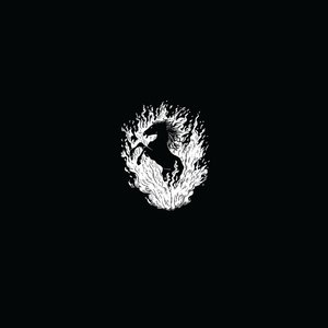 'The Besnard Lakes Are A Live'の画像