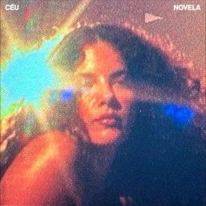 “Novela”的封面