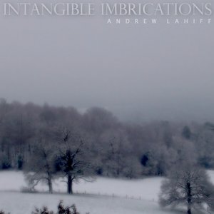 Image for 'Intangible Imbrications'