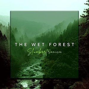 Image for 'The Wet Forest'