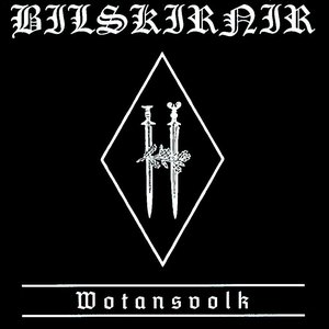 “Wotansvolk”的封面
