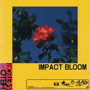 “Impact Bloom”的封面