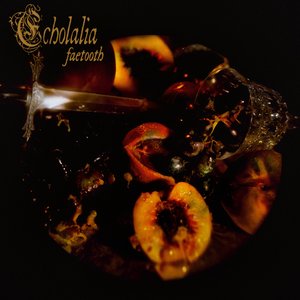 'Echolalia'の画像