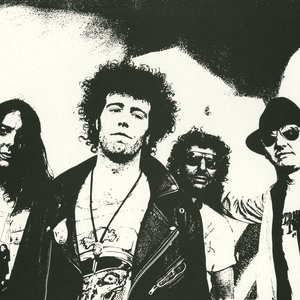 Image for 'The Bevis Frond'