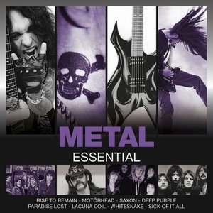 Image for 'Essential: Metal'