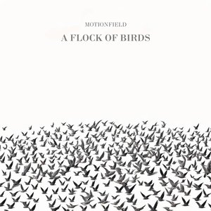 Imagem de 'A Flock Of Birds'