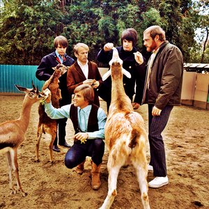 Image pour 'The Beach Boys'