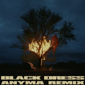 Image for 'Black Dress (Anyma Remix)'