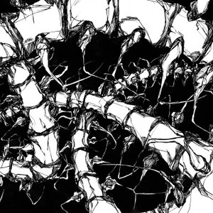 Image for 'Nest'