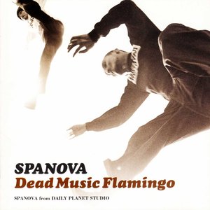 Image for 'Dead Music Flamingo'
