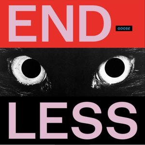 Изображение для 'Endless'