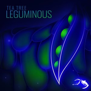 Image for 'Leguminous'