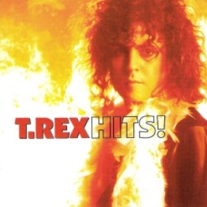 Image for 'The Very Best Of T.Rex'