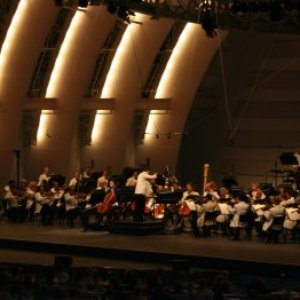 Immagine per 'Hollywood Bowl Orchestra'