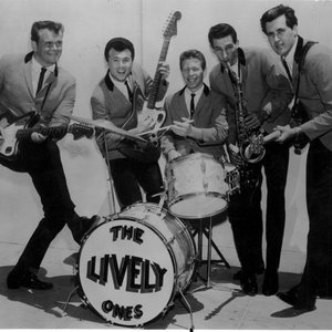 Bild för 'The Lively Ones'