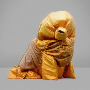 Image for 'TEAM'