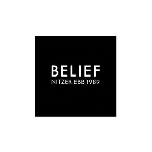 Image for 'Belief'