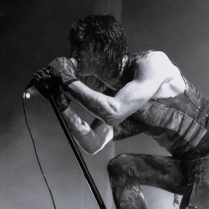 “Nine Inch Nails”的封面
