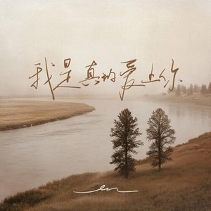 Image for '我是真的爱上你'