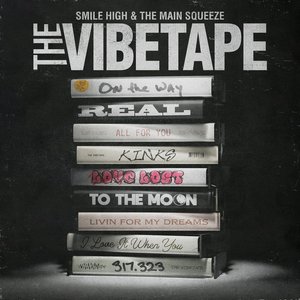 Image for 'The Vibetape'