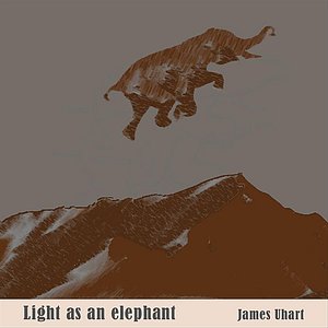 Immagine per 'Light As An Elephant'