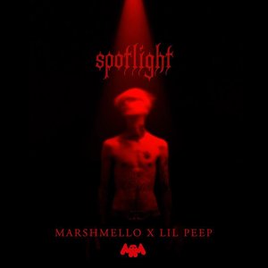 “Spotlight - Single”的封面