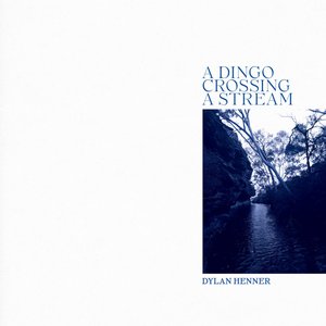 Zdjęcia dla 'A Dingo Crossing a Stream'