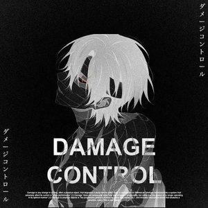 Изображение для 'Damage Control'