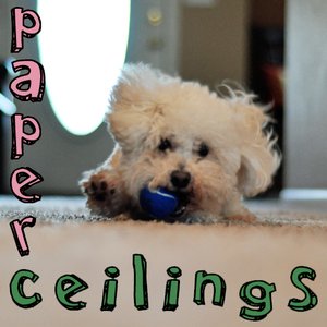 Immagine per 'Paper Ceilings'