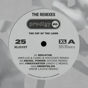 Image for 'THE FAT OF THE LAND 25TH ANNIVERSARY REMIX E.P.'
