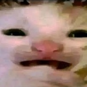 its_miau