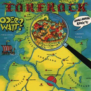 “Torfrock oder Watt?”的封面