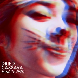 Image for 'Mind Thieves'