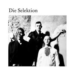 “Die Selektion”的封面