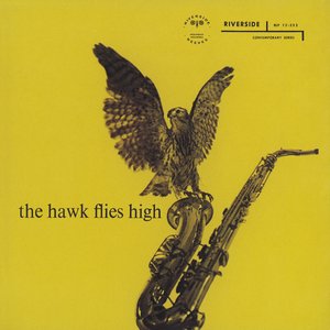 Image for 'The Hawk Flies High'
