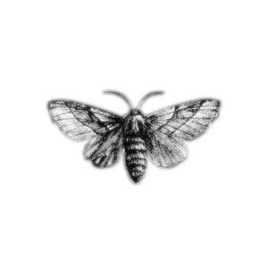 Image for 'Infinitely Repeated'
