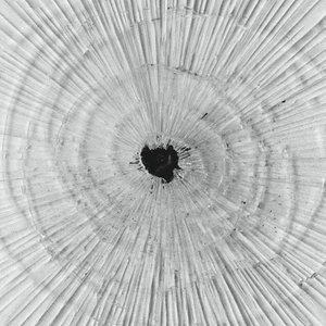 Image for 'Demiurge'