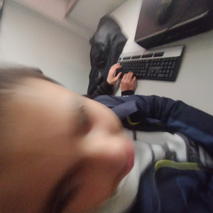 Nicolaulau